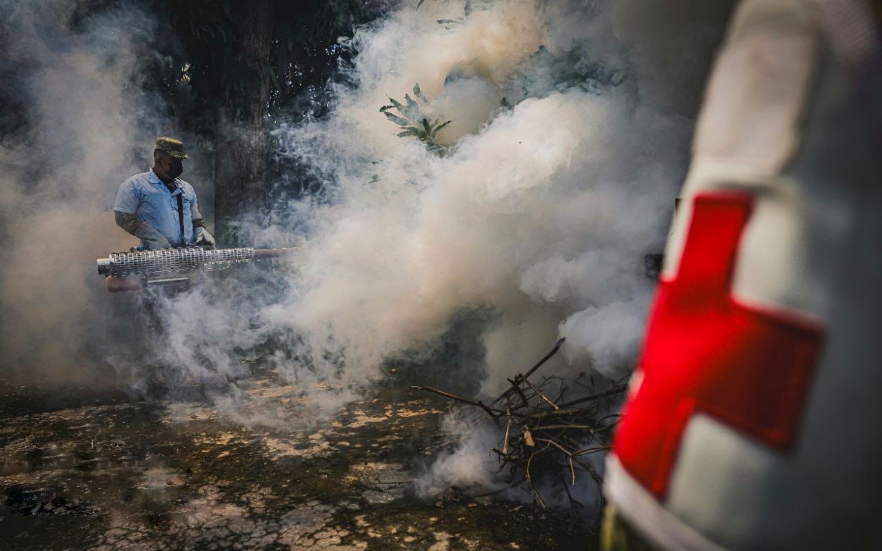 el-salvador-registra-disminucion-significativa-en-casos-de-dengue